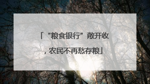 “粮食银行”敞开收，农民不再愁存粮